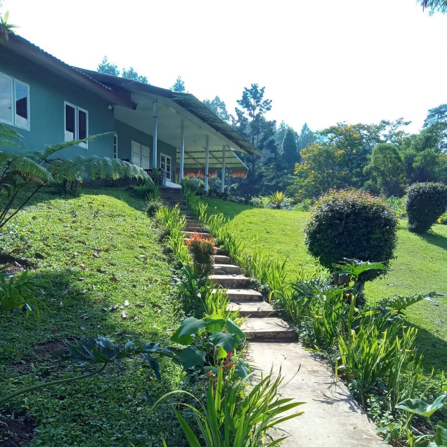 Bangunan Villa Kay View di lereng hijau yang asri
